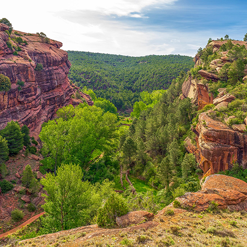 teruel_ruta_pinares_rodeno